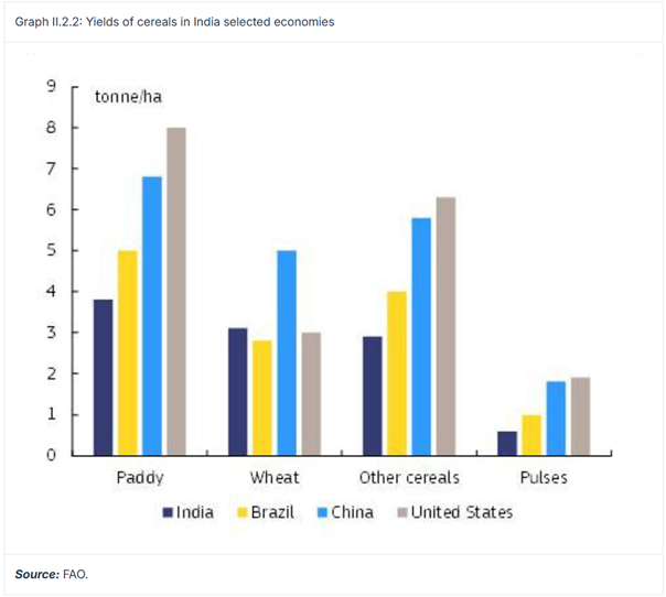 Niska-wydajnosc-upraw-w-Indiach-kraj-odstaje-od-Chin-USA-i-Brazylii-w-produkcji-zboz